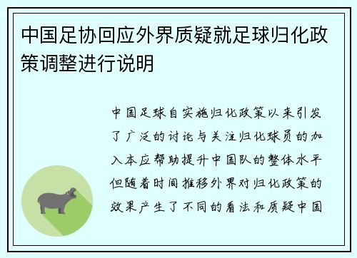 中国足协回应外界质疑就足球归化政策调整进行说明
