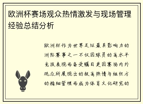 欧洲杯赛场观众热情激发与现场管理经验总结分析