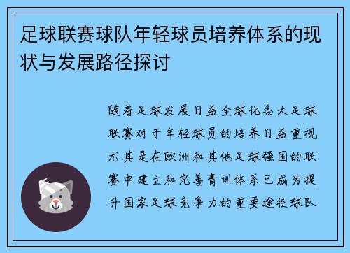 足球联赛球队年轻球员培养体系的现状与发展路径探讨