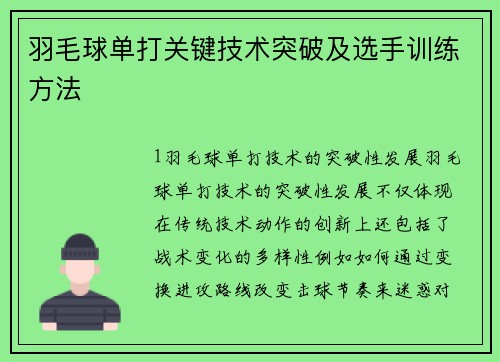 羽毛球单打关键技术突破及选手训练方法