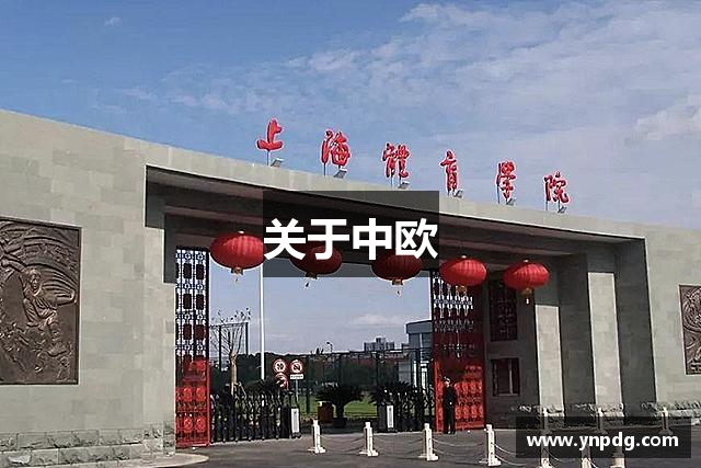 关于中欧